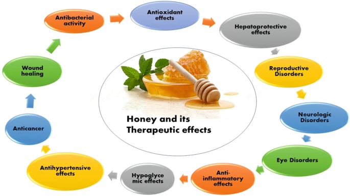 What are the effects of honey on human health 